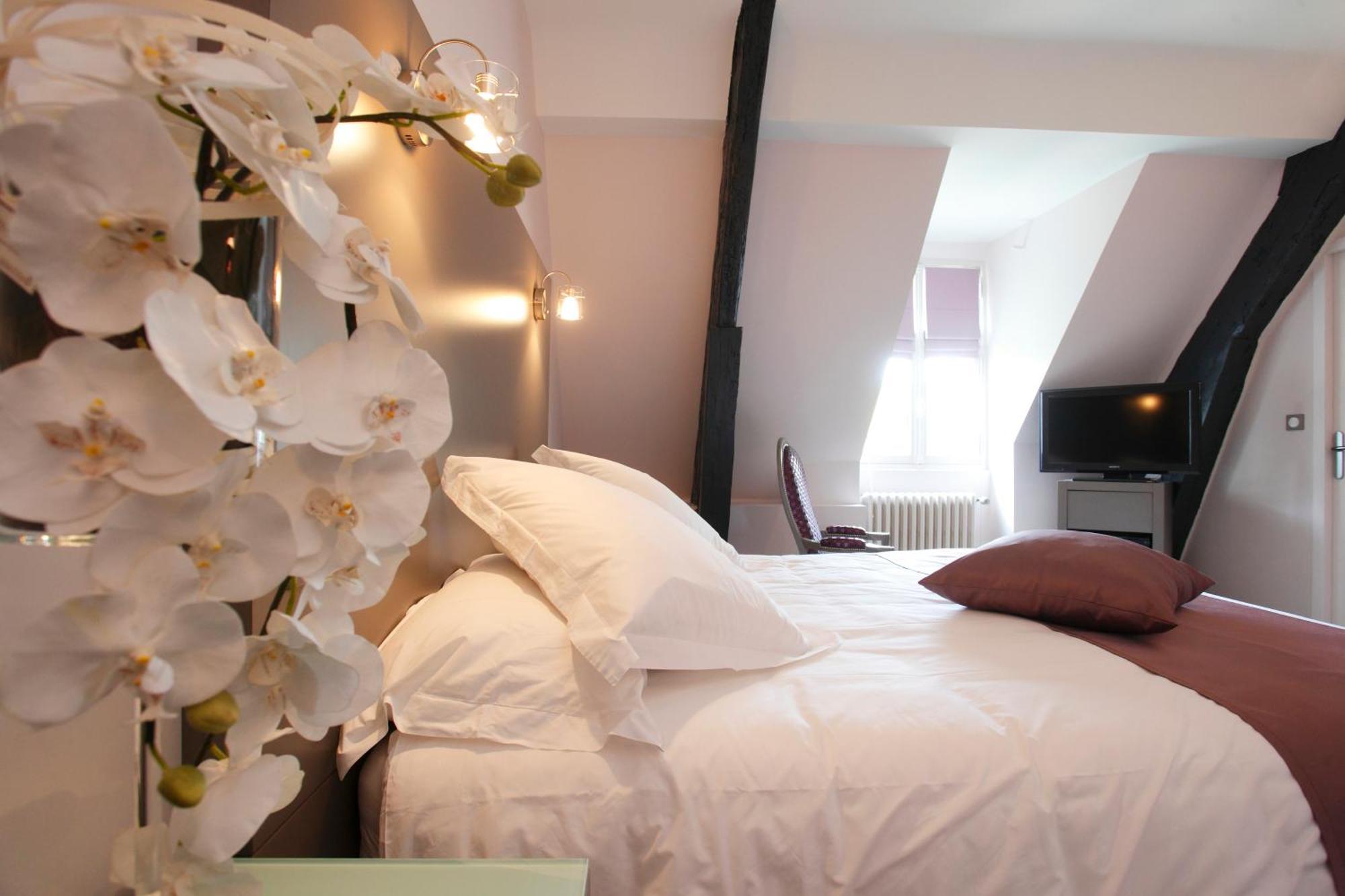 Hotel Chateau De La Barbiniere Saint-Laurent-sur-Sèvre Eksteriør billede